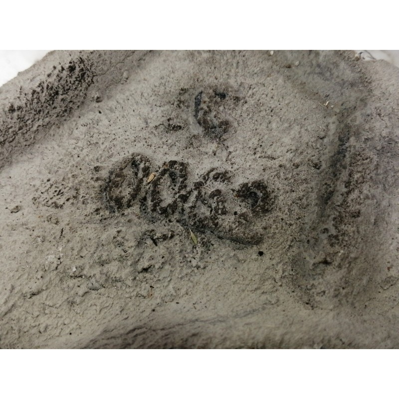 Recambio de brazo suspension inferior delantero derecho para peugeot expert kasten furg. acristaldo referencia OEM IAM   