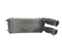 INTERCOOLER 9648551880 876923J IA1401