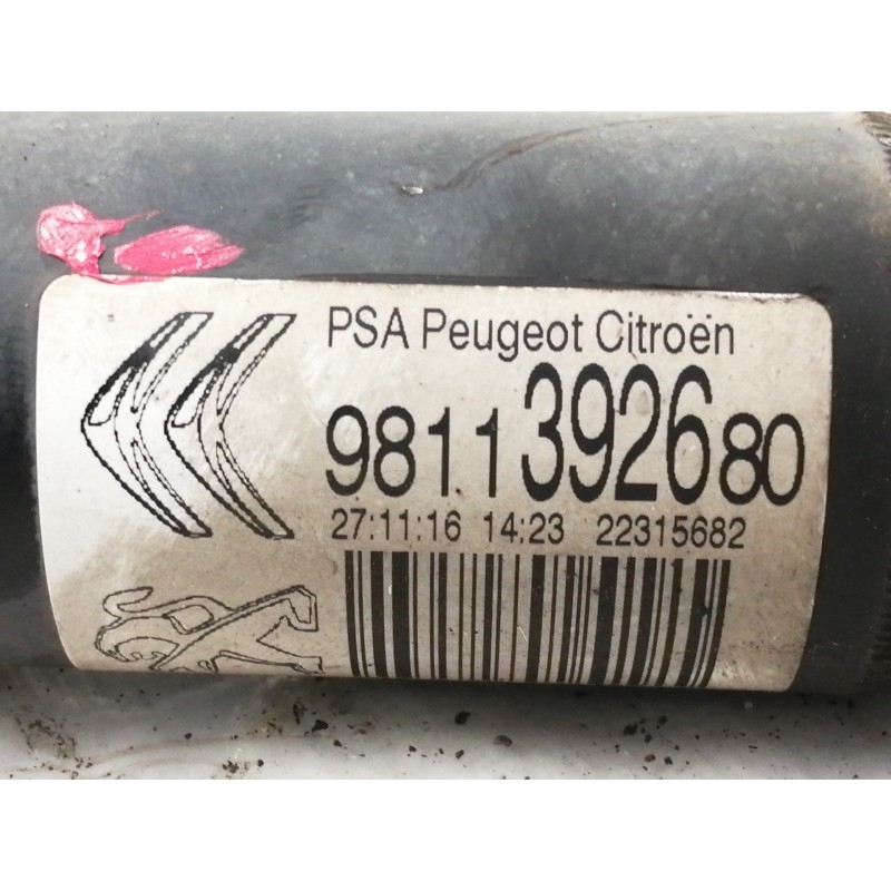 Recambio de amortiguador trasero derecho para citroën c3 shine referencia OEM IAM 9811392680  