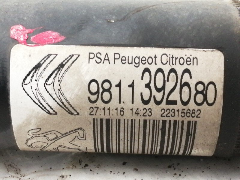 Recambio de amortiguador trasero derecho para citroën c3 shine referencia OEM IAM 9811392680  