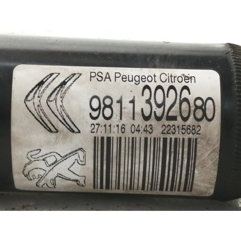 Recambio de amortiguador trasero izquierdo para citroën c3 shine referencia OEM IAM 9811392680  