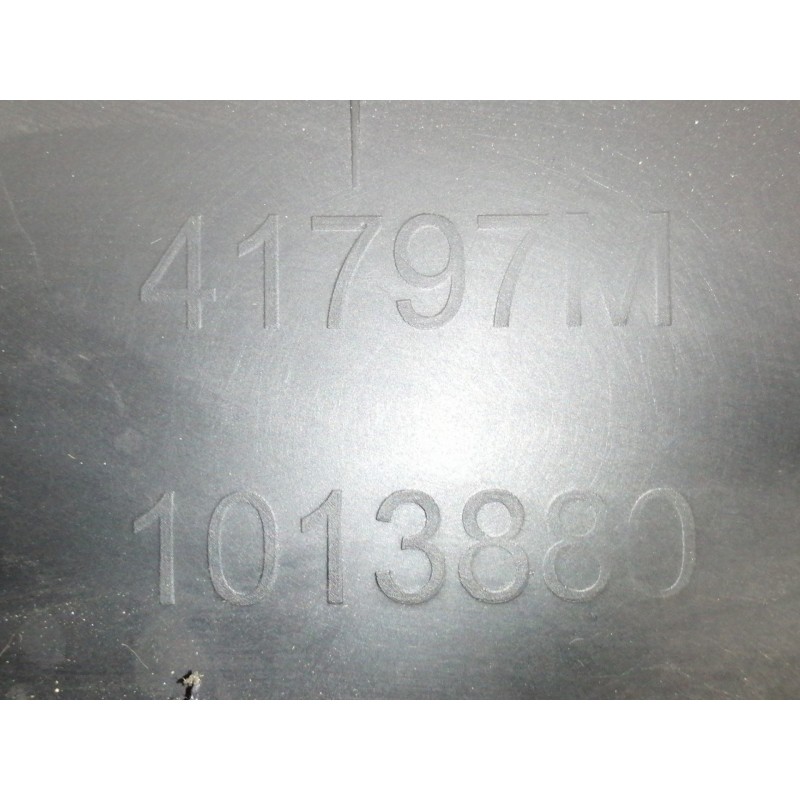 Recambio de guarnecido puerta trasera derecha para citroën c3 lx referencia OEM IAM 96835051ZM 41797M 1013880