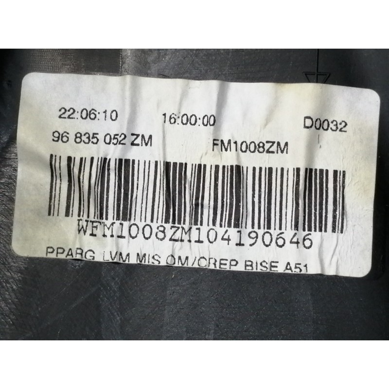 Recambio de guarnecido puerta trasera izquierda para citroën c3 lx referencia OEM IAM 96835052ZM FM1008ZM / 41796M 1013880