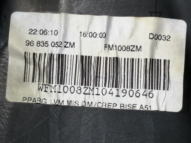 Recambio de guarnecido puerta trasera izquierda para citroën c3 lx referencia OEM IAM 96835052ZM FM1008ZM / 41796M 1013880