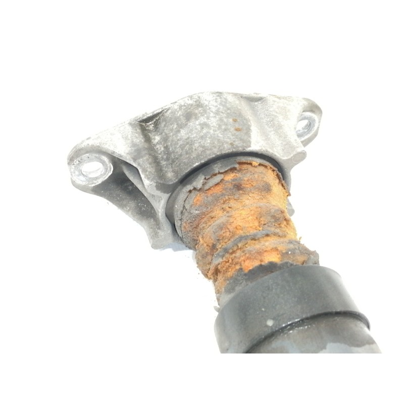 Recambio de amortiguador trasero derecho para ford focus berlina (cap) ghia referencia OEM IAM 4M5118080AAE  