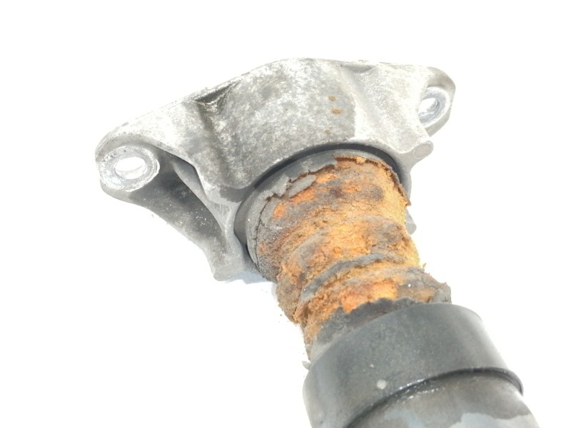 Recambio de amortiguador trasero derecho para ford focus berlina (cap) ghia referencia OEM IAM 4M5118080AAE  