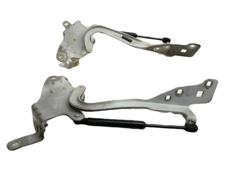 Recambio de amortiguadores capo para renault scenic iii dynamique referencia OEM IAM 654700008R  