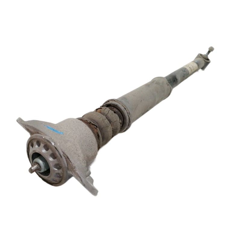 Recambio de amortiguador trasero izquierdo para volkswagen polo (9n3) advance referencia OEM IAM 6Q0513025BL  