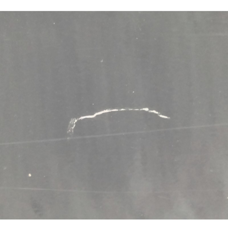 Recambio de puerta trasera izquierda para bmw x5 (e70) 3.0d referencia OEM IAM 41527261481  