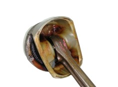 Recambio de piston para peugeot 207 xs referencia OEM IAM    2