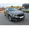 skoda kamiq (nw4) del año 2024