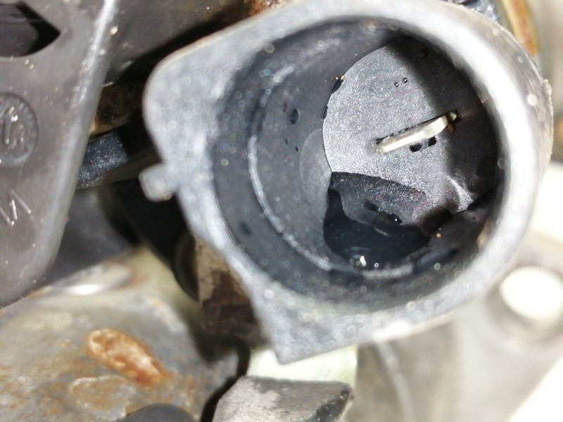 Recambio de motor arranque para seat leon st (5f8) reference referencia OEM IAM 02Z911024L  