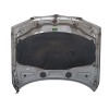 Recambio de capot para bmw x3 (e83) xdrive 20 d referencia OEM IAM 41003449411  