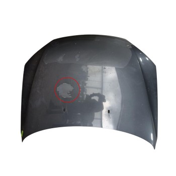 CAPOT 1446448 