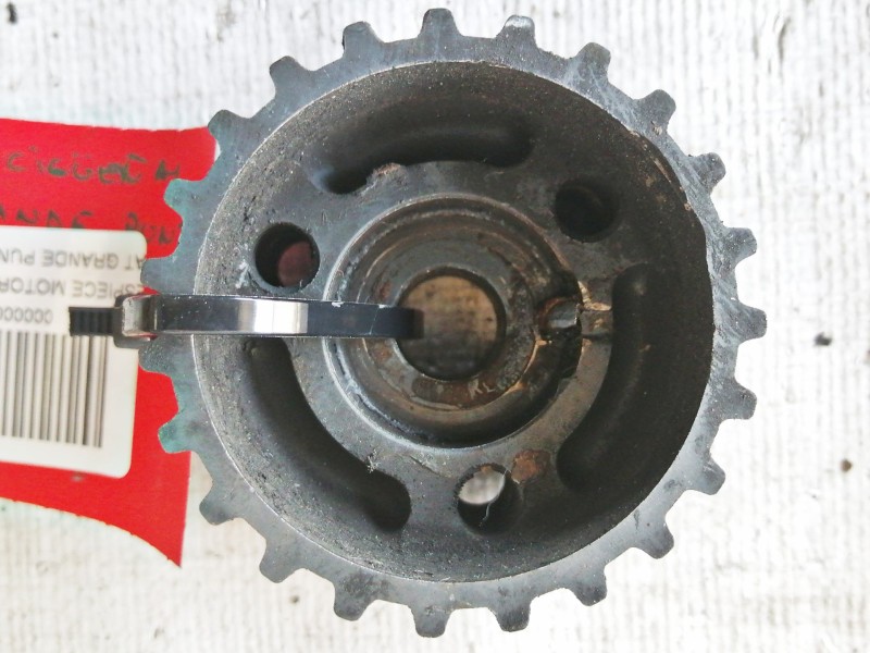 Recambio de despiece motor para fiat grande punto (199) 1.4 referencia OEM IAM A983  PIÑON CIGUEÑAL