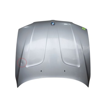 CAPOT DELANTERO 41003449411 