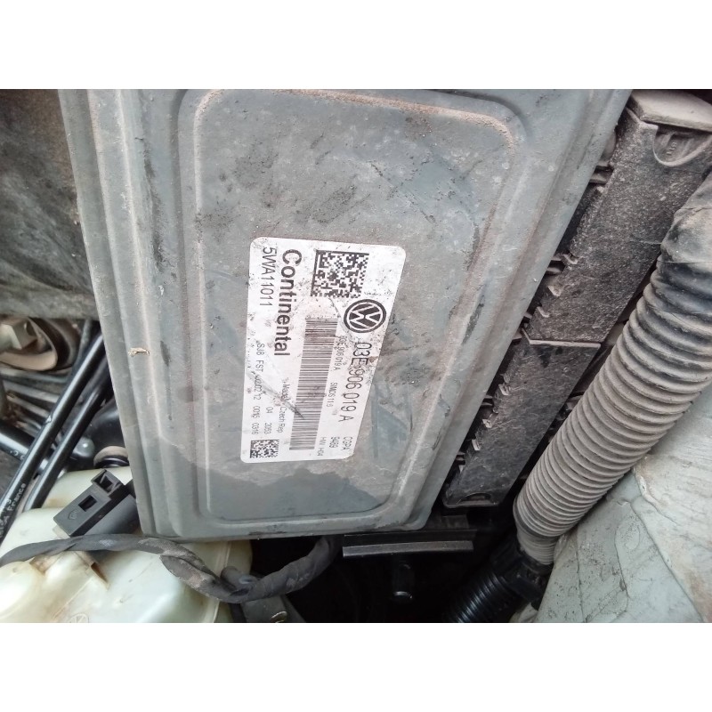 Recambio de centralita motor uce para volkswagen polo (6r1) advance bluemotion referencia OEM IAM 03E906019A  
