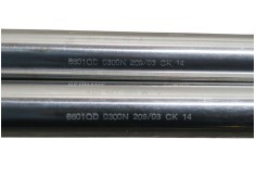 Recambio de amortiguadores maletero / porton para audi a8 (4e2) 4.2 quattro referencia OEM IAM    2