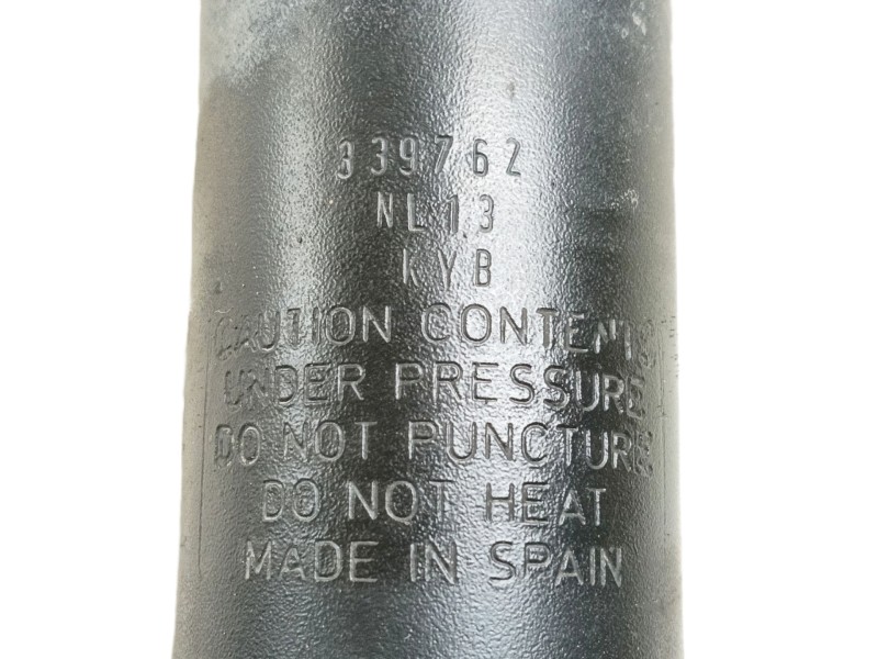 Recambio de amortiguador delantero izquierdo para renault scenic iii expression referencia OEM IAM   