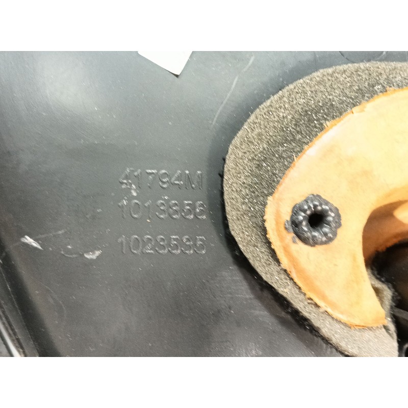 Recambio de guarnecido puerta delantera izquierda para citroën c3 selection referencia OEM IAM 41794M 96867579ZD A1076954