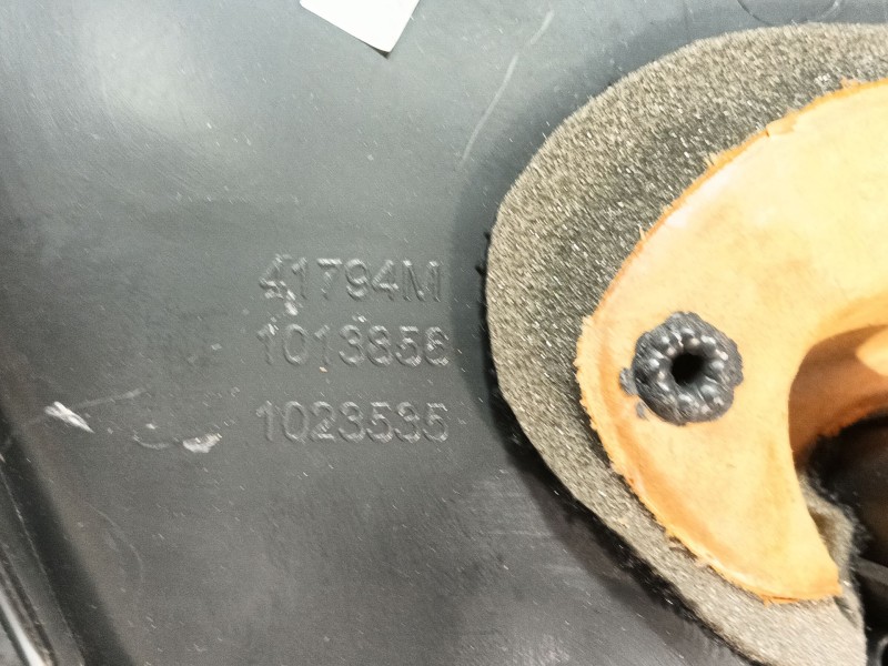 Recambio de guarnecido puerta delantera izquierda para citroën c3 selection referencia OEM IAM 41794M 96867579ZD A1076954