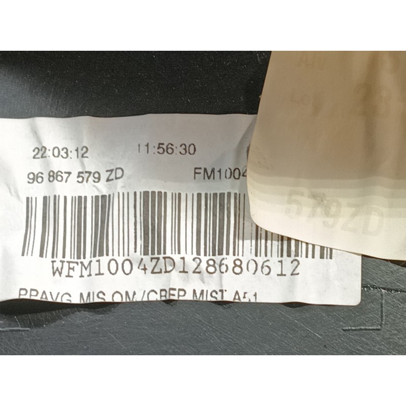 Recambio de guarnecido puerta delantera izquierda para citroën c3 selection referencia OEM IAM 41794M 96867579ZD A1076954