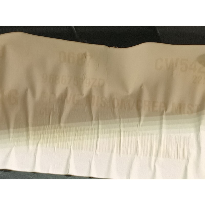 Recambio de guarnecido puerta delantera izquierda para citroën c3 selection referencia OEM IAM 41794M 96867579ZD A1076954