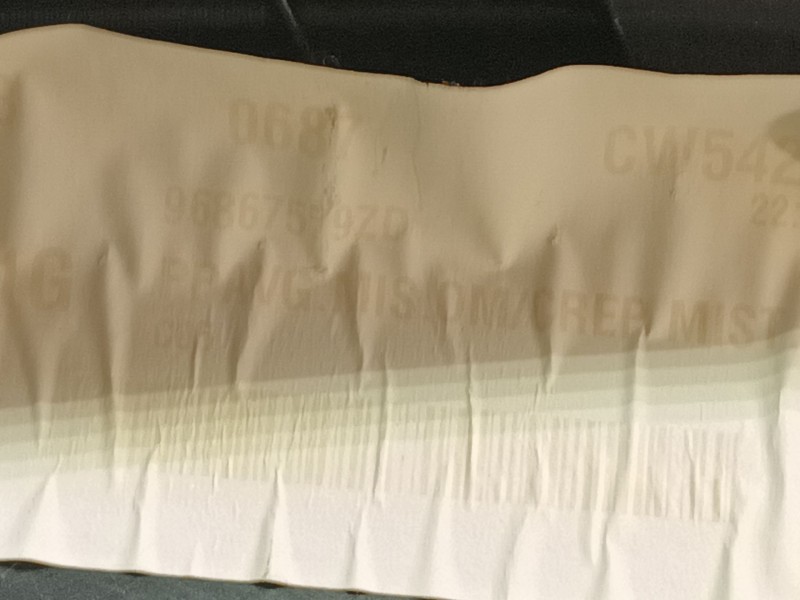 Recambio de guarnecido puerta delantera izquierda para citroën c3 selection referencia OEM IAM 41794M 96867579ZD A1076954