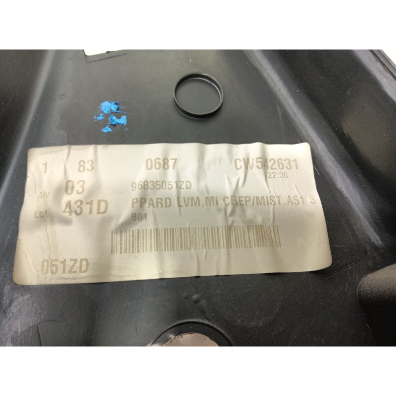 Recambio de guarnecido puerta trasera derecha para citroën c3 selection referencia OEM IAM CW542631 96835051ZD FM1009ZD