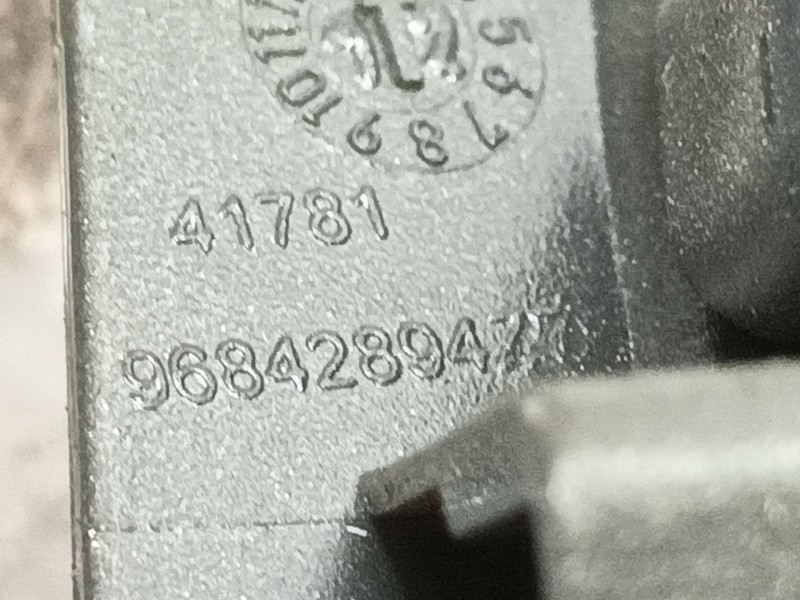 Recambio de moldura para citroën c3 selection referencia OEM IAM 9686363077 9684289477 10154800