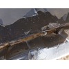 Recambio de paragolpes delantero para audi q3 (f3b) 35 tdi referencia OEM IAM 83A807065GRU  
