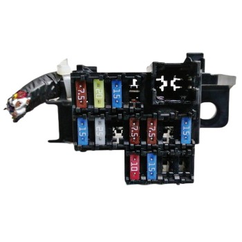 CAJA RELES / FUSIBLES D09W66730 