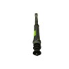 Recambio de amortiguador trasero derecho para nissan juke (f16_) 1.0 referencia OEM IAM 562106PA0A  