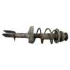 Recambio de amortiguador delantero izquierdo para renault clio ii fase ii (b/cb0) authentique referencia OEM IAM 7700428438D  C3