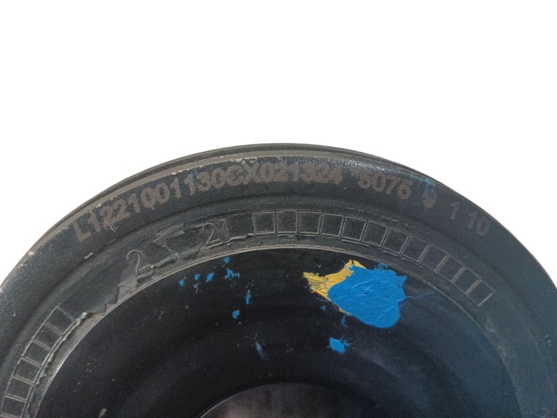 Recambio de polea cigueñal para renault laguna iii dynamique referencia OEM IAM   