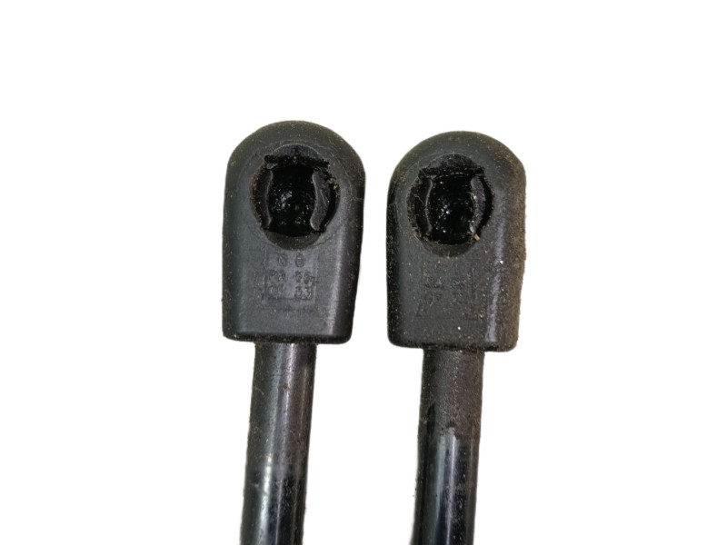 Recambio de amortiguadores capo para tesla model 3 (5yj3) ev awd referencia OEM IAM   