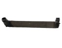 INTERCOOLER 144960006RC M135347F 1000285851