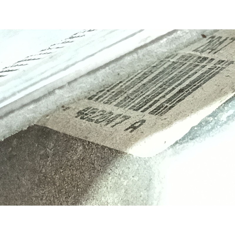 Recambio de elevalunas delantero derecho para renault scenic ii grand business referencia OEM IAM   