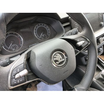 AIRBAG DELANTERO IZQUIERDO 