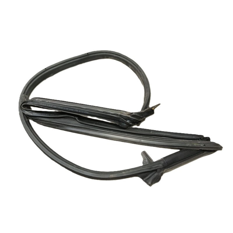 Recambio de gomas contorno puerta para tesla model 3 (5yj3) ev awd referencia OEM IAM   T.IZQUIERDA