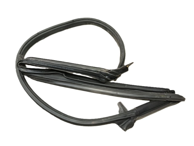 Recambio de gomas contorno puerta para tesla model 3 (5yj3) ev awd referencia OEM IAM   T.IZQUIERDA