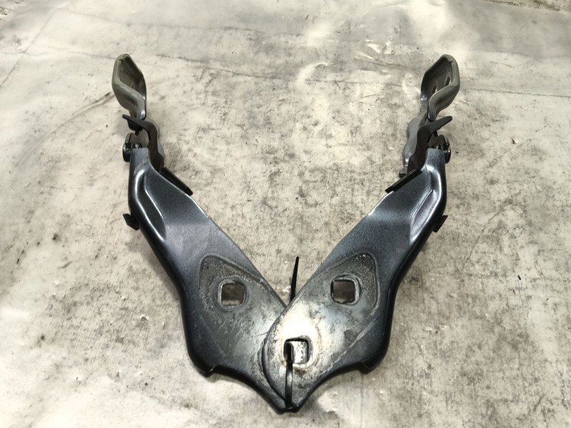 Recambio de bisagras capo para tesla model 3 (5yj3) ev awd referencia OEM IAM   