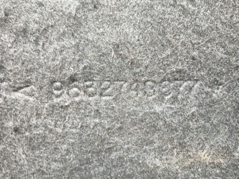 Recambio de bandeja trasera para peugeot 307 berlina (s2) xs referencia OEM IAM   