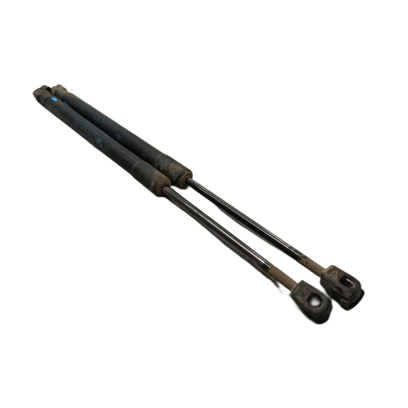 Recambio de amortiguadores maletero / porton para renault megane iii berlina 5 p expression referencia OEM IAM  904510001R 