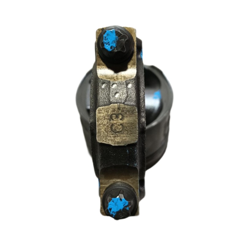 Recambio de piston para bmw x5 (e53) 3.0d referencia OEM IAM   