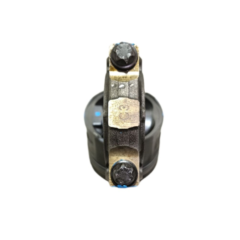 Recambio de piston para bmw x5 (e53) 3.0d referencia OEM IAM   