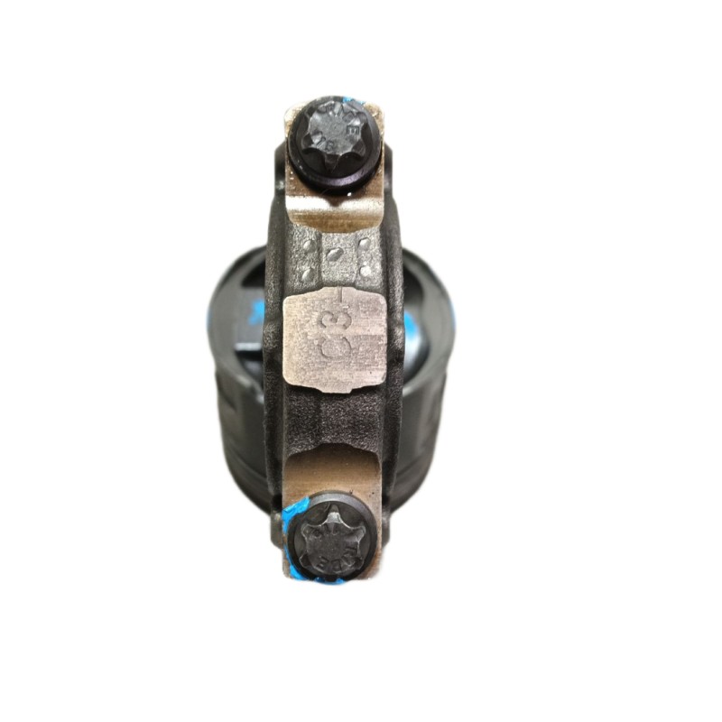 Recambio de piston para bmw x5 (e53) 3.0d referencia OEM IAM   