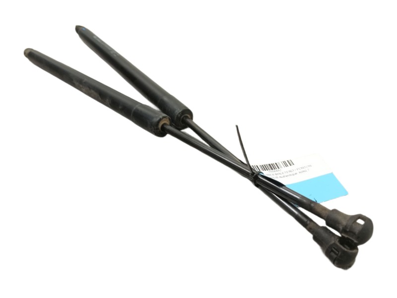 Recambio de amortiguadores maletero / porton para renault modus authentique referencia OEM IAM  8200219322 