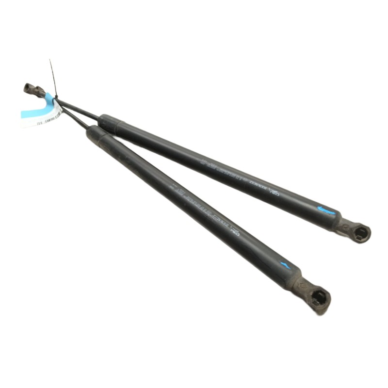 Recambio de amortiguadores maletero / porton para renault modus authentique referencia OEM IAM  8200219322 