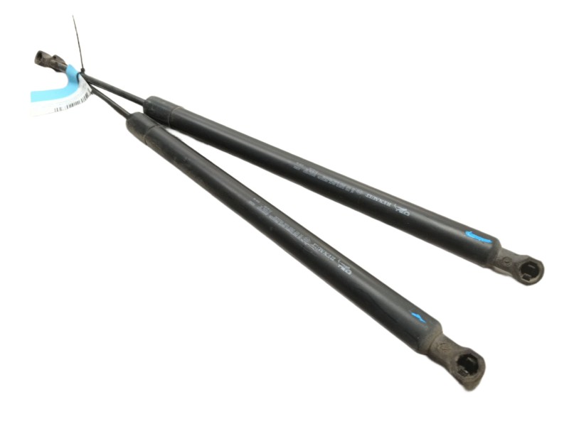Recambio de amortiguadores maletero / porton para renault modus authentique referencia OEM IAM  8200219322 